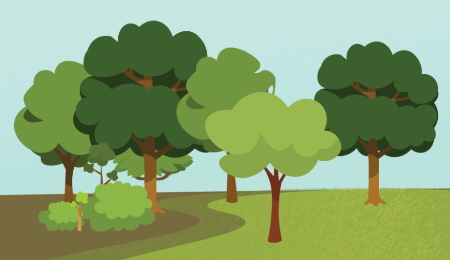 Final rendered tree and forest scene used in the BYO app environment